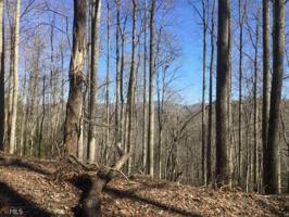 Lot MAP 3 Soapstone Creek Cir