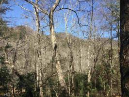 Lot MAP 9,E33 Timber Ridge Trl