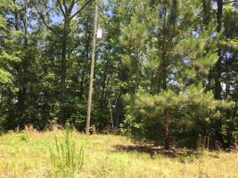 Lot 53 Pointe South Dr
