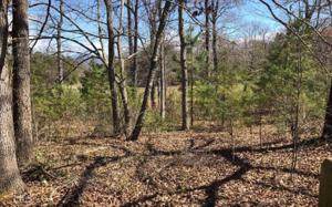 Lot #4 The Vinings