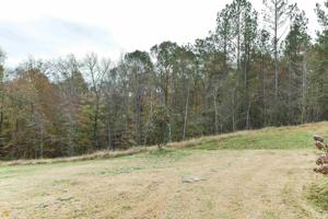 LOT 53 Lee Road 2131