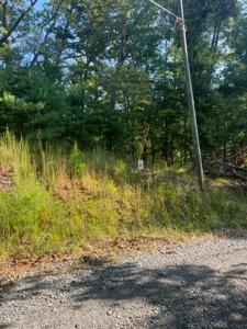 LT 49 White Pine Ridge Ridge