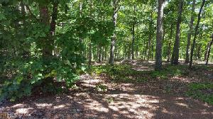 Q2  Ridgewood Ln Lot Q2