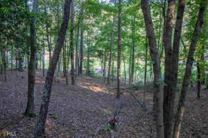 Lot 11 Freedom Heights Dr