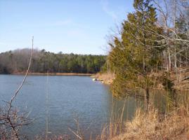 Lot 4 Gregg Shoals Rd