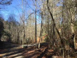Lot MAP 16,E52 Chattahoochee Forest Cir