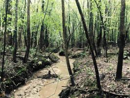 Lot 249 Hickory Rd