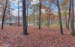 Lot K Majestic Shores