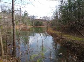 Lot 1 Lakeland Dr