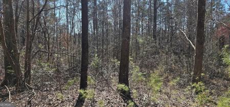 48 & 30 Dogwood Trail