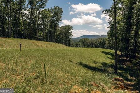 LOT 13 Ridges Of Blue Ridge