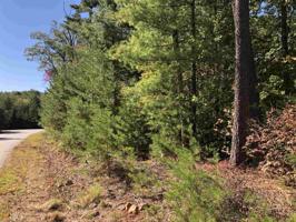 129 Wild Pansy Ridge