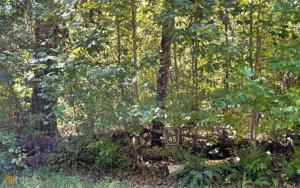 LOT 45 Hidden River