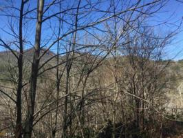 Lot MAP 21,E8 Timber Ridge Trl