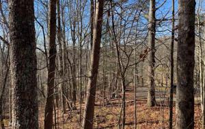 0 Timberline Lane