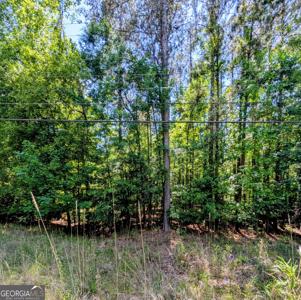 Lot 73 AND 238 Island Creek Drive, Sparta GA 31087