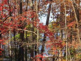 Lot 2.3AC Highway 75 N
