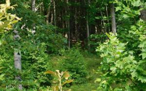 Lot 11 Carlin Rd