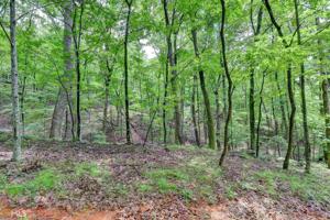Lot 6378 Hickory Trl