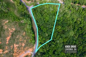 0 Knox Bridge