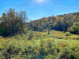 Lot Tract 3 Bearmeat Rd
