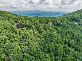 649 Woodland Trace