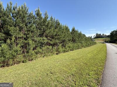 Lot 228 The Cove at Thirteen Hundred, Blairsville GA 30512
