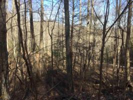 Lot MAP 2,B 12B Soapstone Creek Cir