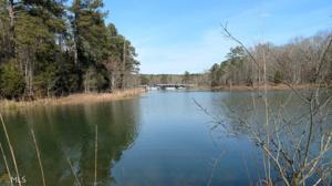 Lot 50 Beaverdam Dr