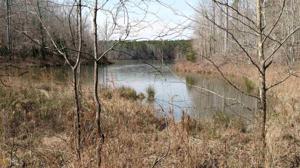 Lot 47-48 Beaverdam Dr