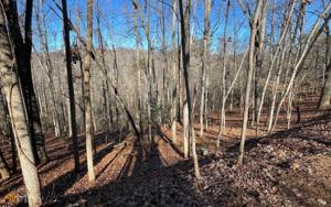 LOTS 154 & 155 Chatuge Village