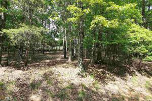 198 Lakeview Cir