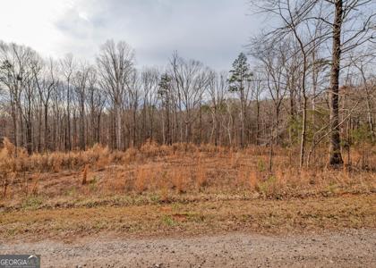 Lot 7, Lavonia GA 30553 Andrews Subdivision