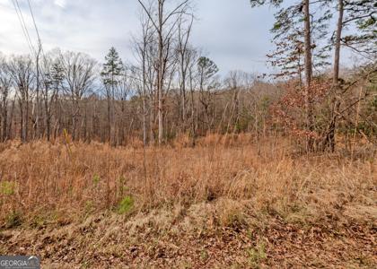 Lot 5B, 6, & 7, Lavonia GA 30553 Andrews Subdivision