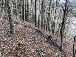 Lot LT12 Pine Ridge