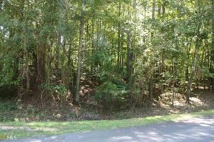 Lot 37 Indian Bend Trl