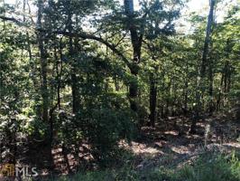 Lot 298 Little Hendricks Mountain Rd