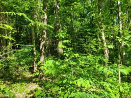 1.05AC White Eagle Rd Road