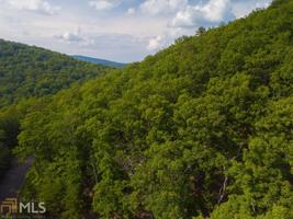 8268 Cox Mountain Ln