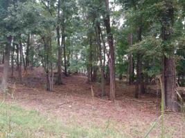Lot B-1 Flintside Dr