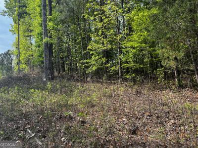 Lot 34, Lagrange GA 30241 Waterview Drive