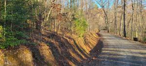 0 Multi Bell Creek Hollow