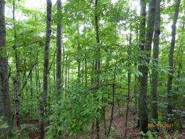 0 Penland Oaks