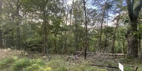 Lot 244 Shadowick Mountain Rd