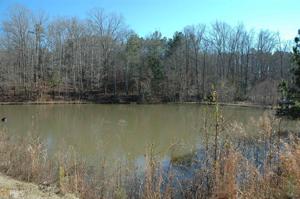 Lot Tr 1&2 Seminole Rd