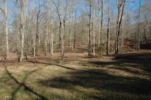 Lot Tr 3 & 4 Seminole Rd