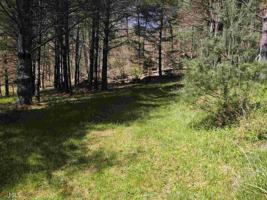 Lot 3 Spaniard Branch Trl