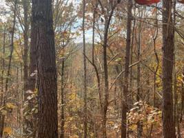 0 Lakeside Trail