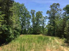 Lot 54 Pointe South Dr