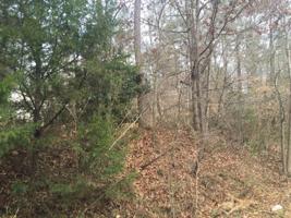 Lot 28,29,30,31 324 Lewis Dr